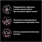 Purina Pro Plan Adult Medium Сухой корм Про План для собак средних пород с лососем, 3 кг