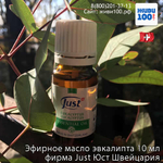 Эфирное масло Эвкалипта Юст Eucalyptus Just 10 мл