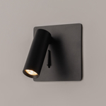 Настенный светильник (бра) Maytoni C040WL-L3B3K