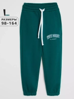 Спортивные штаны для мальчика для школы