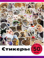 Наклейки на телефон котики многоразовые 50 шт