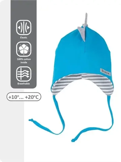 Шапка деми Dino