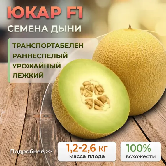 ЮКАР F1 семена дыни (Rijk Zwaan | Alexagro)