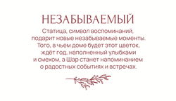 Статусный шар Незабываемый