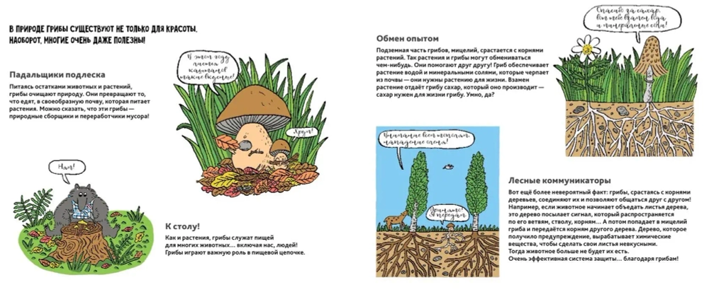 Грибы (non-fiction)