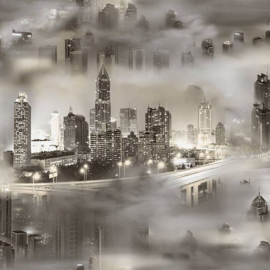 Обои винил на флиз.осн Fox Эмират 113219