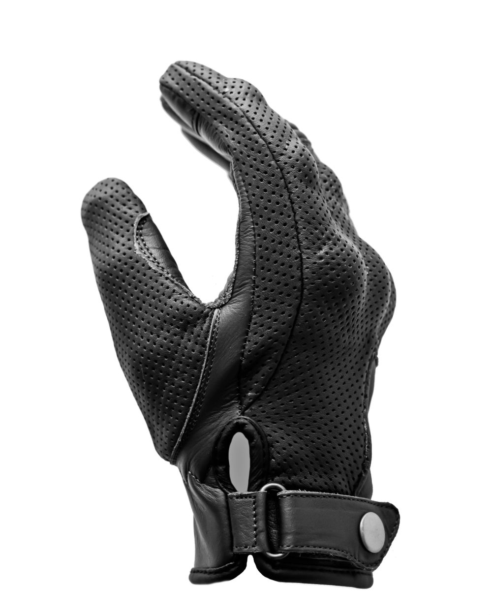 Raven / Черный