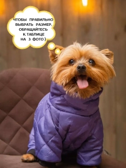 Зимний комбинезон для собак, одежда для животных