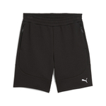 Мужские шорты PUMA EVOSTRIPE Shorts