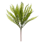 Папоротник Нефролепис светло-зеленый 45 см