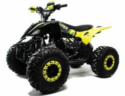 Квадроцикл Motoland 125 RAPTOR A