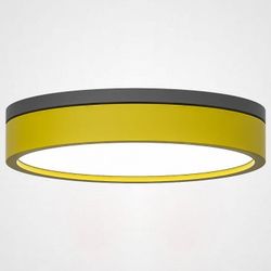 Накладной светильник Imperiumloft KIER KIER01