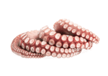 Щупальца осьминога замороженные~600г