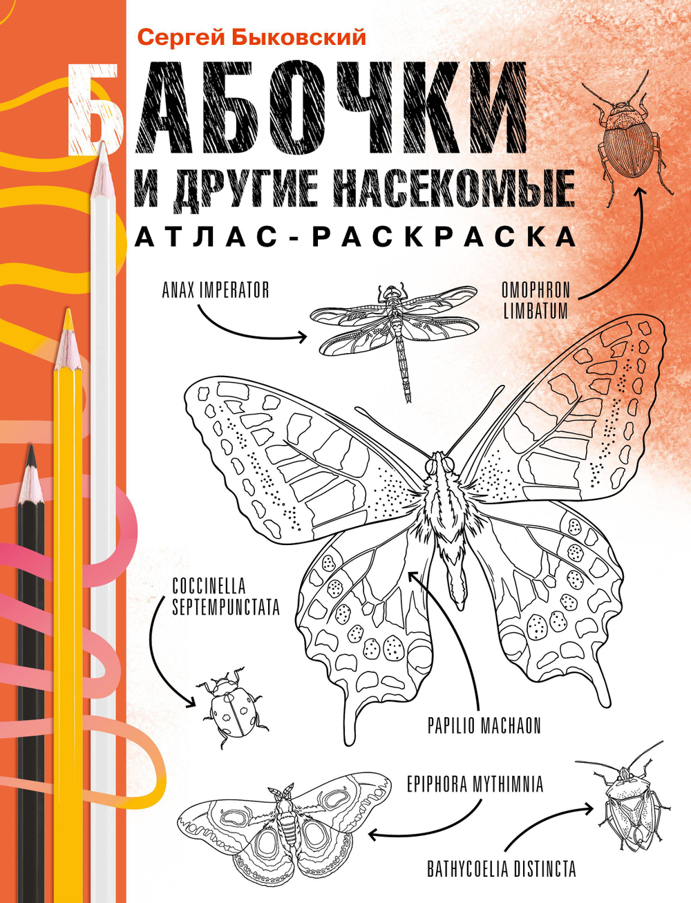 Бабочки и другие насекомые. Атлас-раскраска