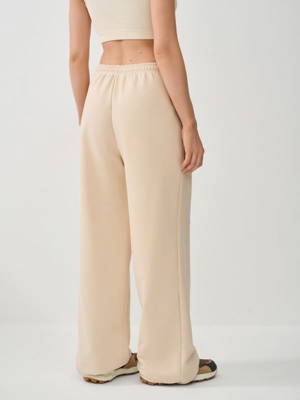 Брюки с велюровым эффектом 