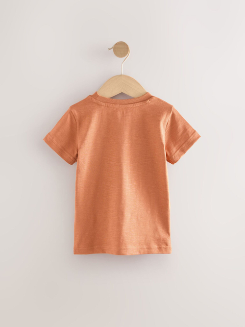 Футболка для мальчика Next AW8-873, Оранжевый
