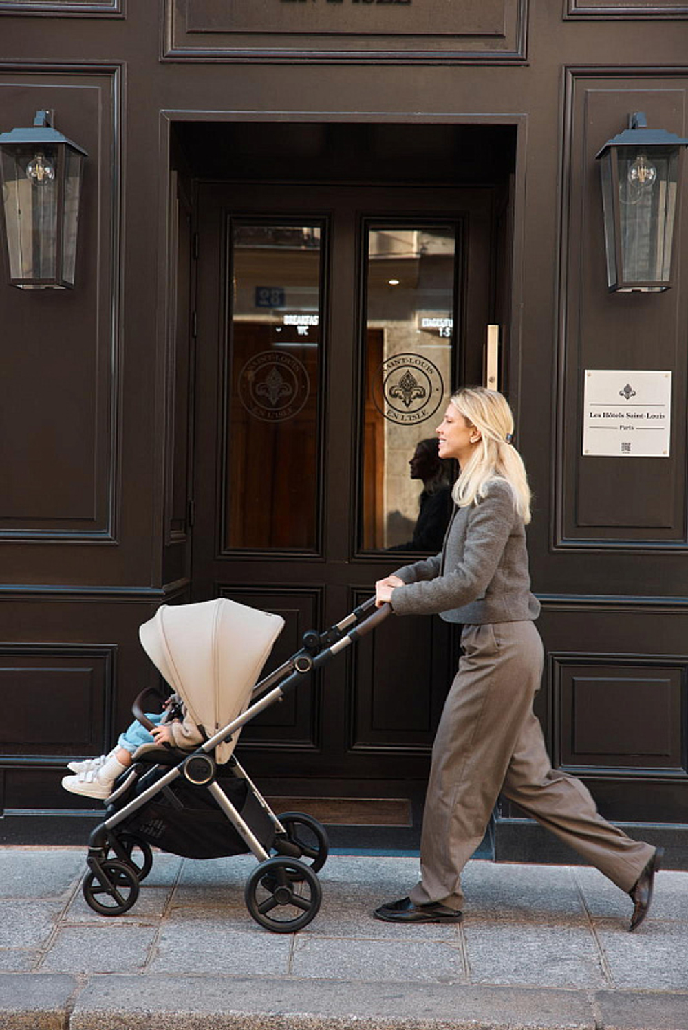 Детская коляска Anex iQ Premium NT 2 в 1 iQ-13-DNA seal