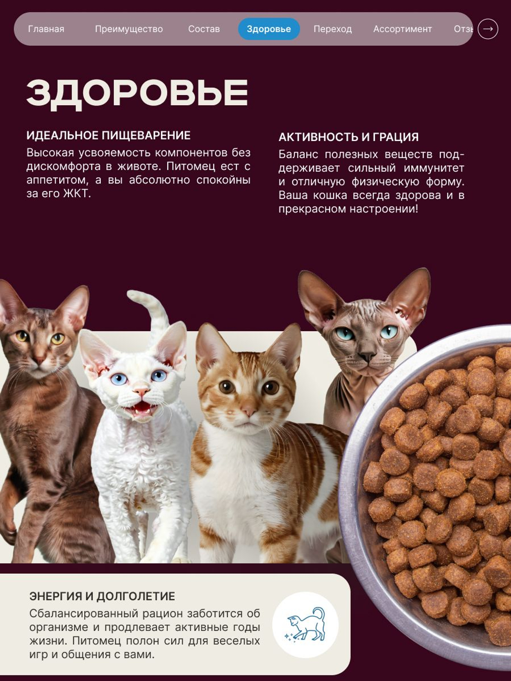 Корм сухой для взрослых стерилизованных кошек породы Ориентальная кошка, полнорационный комплекс, с лососем, 400 гр, QUATTRO