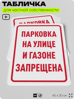 Табличка для частной территории "Парковка на улице и газоне запрещена", на дом, для участка, организаций и частных территорий, предупреждающая, 40х30 см, Silver Plane x Айдентика Технолоджи