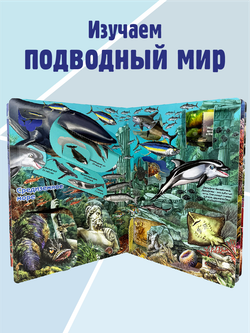 Энциклопедия с окошками (ЦК) ЧТО ТАМ, ПОД ВОДОЙ?