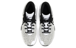 Кроссовки Nike Kd Trey 5 Viii Viii Ep