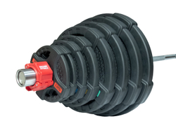 Штанга олимпийская 180 кг (диски с двумя хватами)