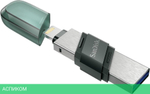 USB Flash-накопитель SanDisk SDIX90N-256G-GN6NE 256GB