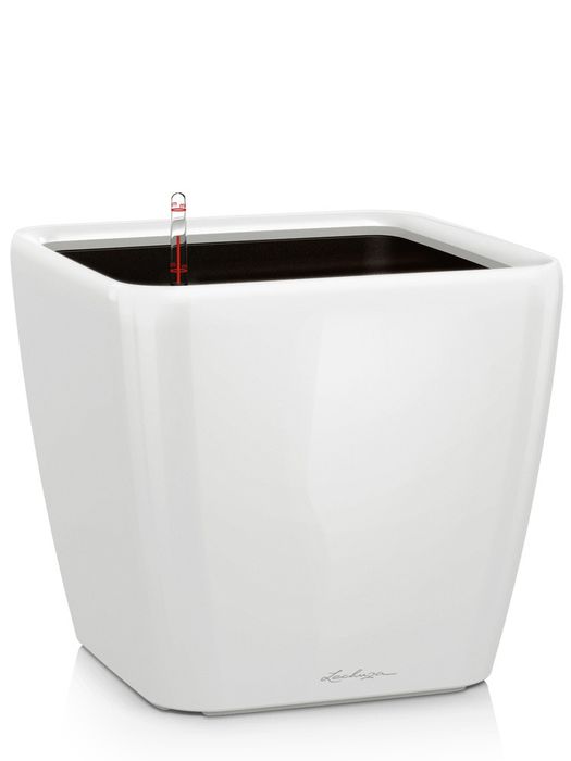 Lechuza Quadro LS Complete 21