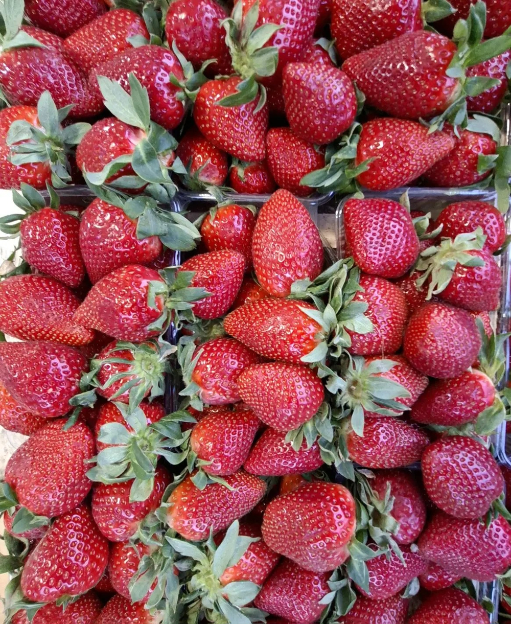 Клубника Сладкая