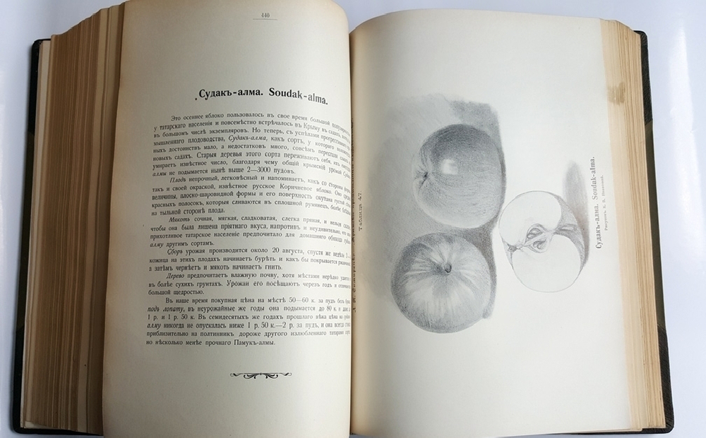 "Крымское промышленное плодоводство". Л.П. Симиренко. 0г. - редкая книга