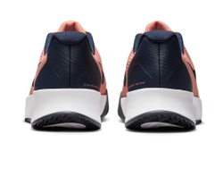 Мужские кроссовки теннисные Nike Vapor Lite 3 Clay - разноцветный