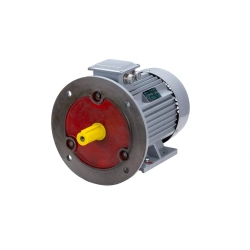 Электродвигатель ESQ PR 225 M4 GST-Б1-S12-IE2 55/1500 IM2001