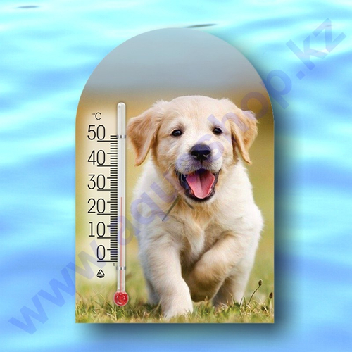 Термометр комнатный "Зоо мир" (Собачка - Символ 2018 года)