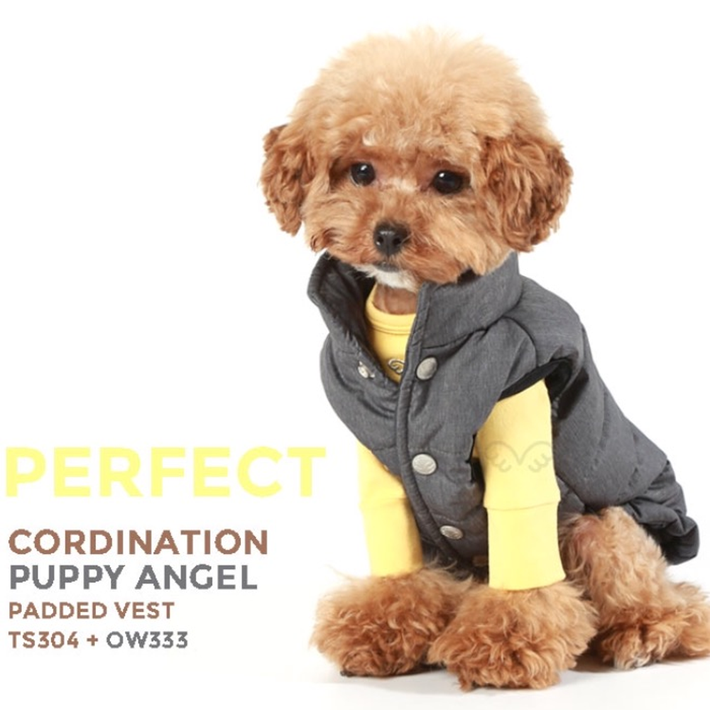 304 PA-TS Лонгслив (футболка с длинным рукавом) "Puppy Angel MAC Daily"