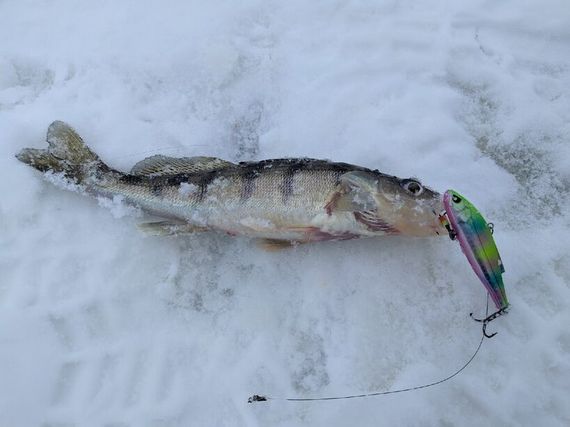 Воблер тонущий вертикальный LJ Pro Series VIB S 58.00/140