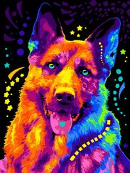 Картина по номерам "Яркая овчарка"
