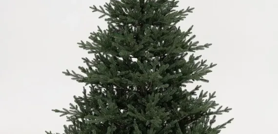 Искусственная елка Царевна леса 300 см., 100% литая хвоя, ЕлкиТорг (11300)