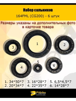 Набор сальников 164FML (CG200)