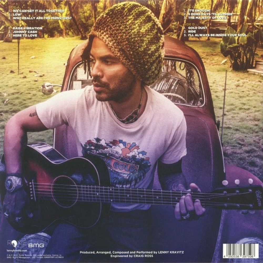 Lenny Kravitz / Raise Vibration (Picture Disc)(2LP)