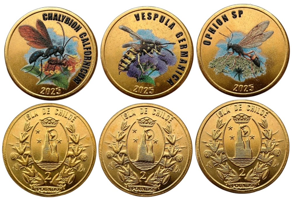 Остров Чилоэ 2 фунта 2025 Осы - набор 3 монеты