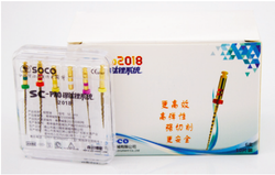 Файлы машинные с памятью формы SC-Pro 2018