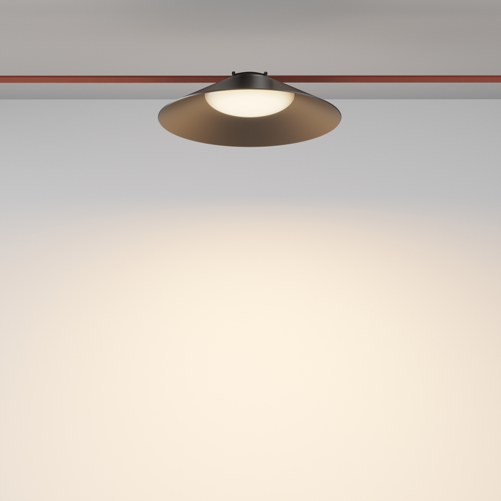 Трековый светодиодный светильник Maytoni Campana TR127B-12W3K-B