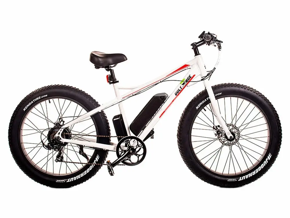 Электрофэтбайк El-sport bike TDE-03 350W