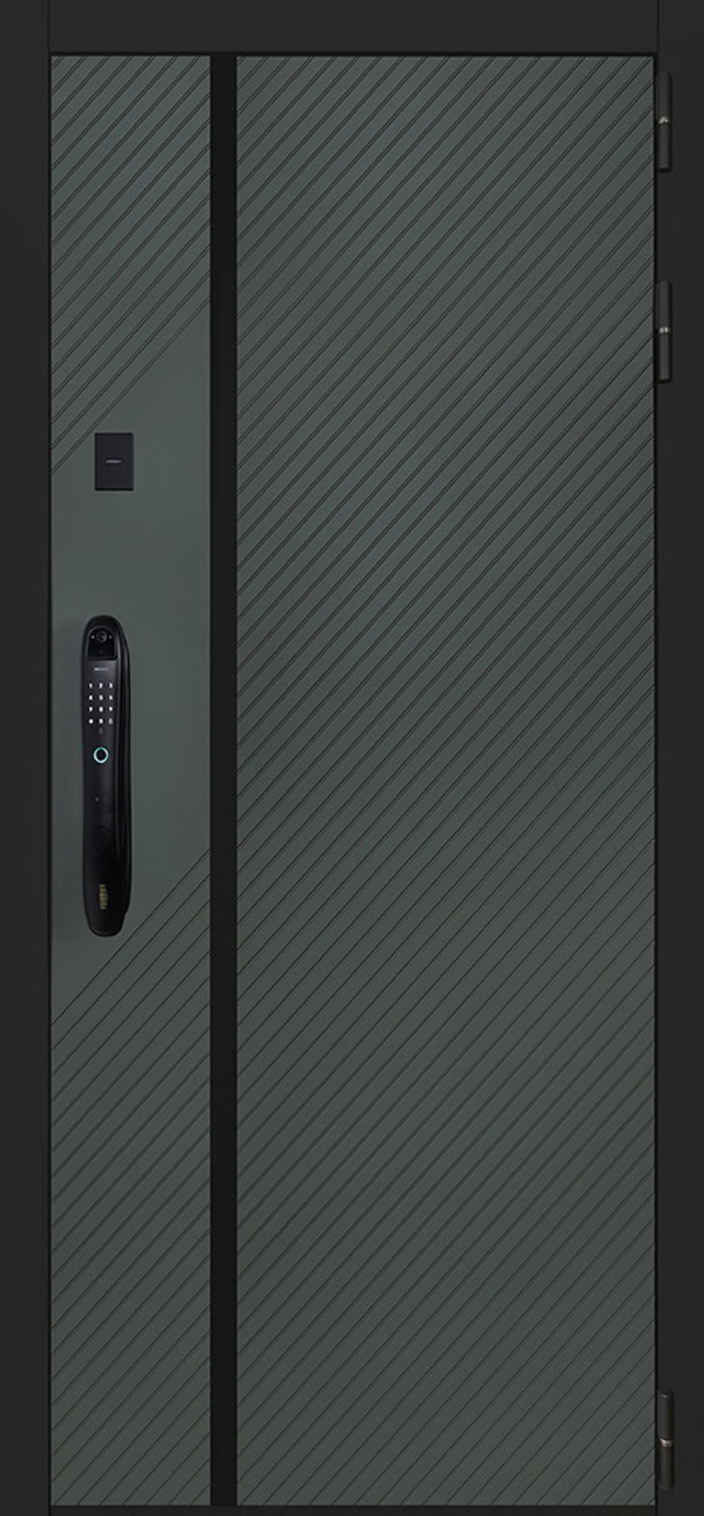 Стальная дверь "Лион" (биометрический замок Smart lock DZ 888). Заказная модель.