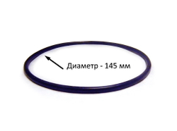 Кольцо уплотнительное для корпуса Гейзер BB
