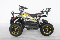 Электроквадроцикл Green Camel Гоби K21 (36V 800W R6 Цепной привод)