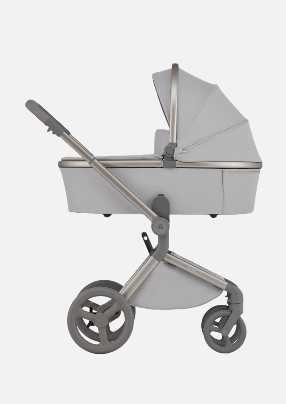 Anex Детская коляска Flo 2 в 1 Frossy