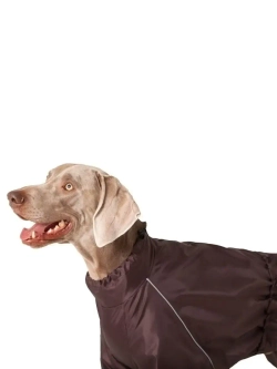 Комбинезон дождевик для собак средних и крупных пород