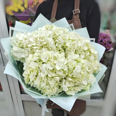 Букет из 5 белых гортензий (Колумбия)