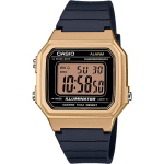 Мужские наручные часы Casio Collection W-217HM-9A